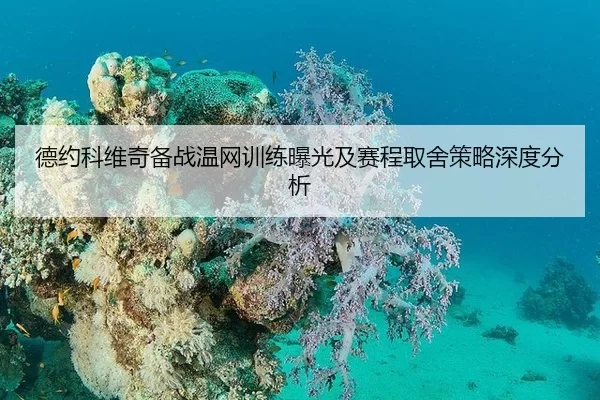 de-yue-ke-wei-qi-bei-zhan-wen-wang-xun-lian-bao-guang-ji-sai-cheng-qu-she-ce-lve-shen-du-fen-xi-2-996.jpg