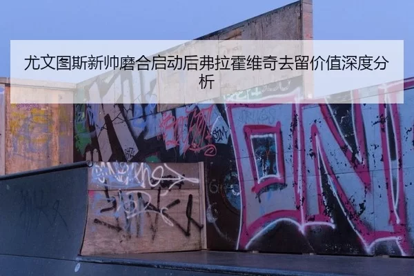 尤文图斯新帅磨合启动后弗拉霍维奇去留价值深度分析 - 333Sports
